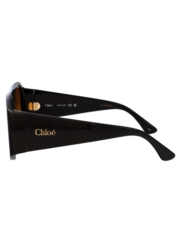 Chloe SUNGLASSES - Marrone | e4e8359bfa470217aafe74a863381291fe464e26