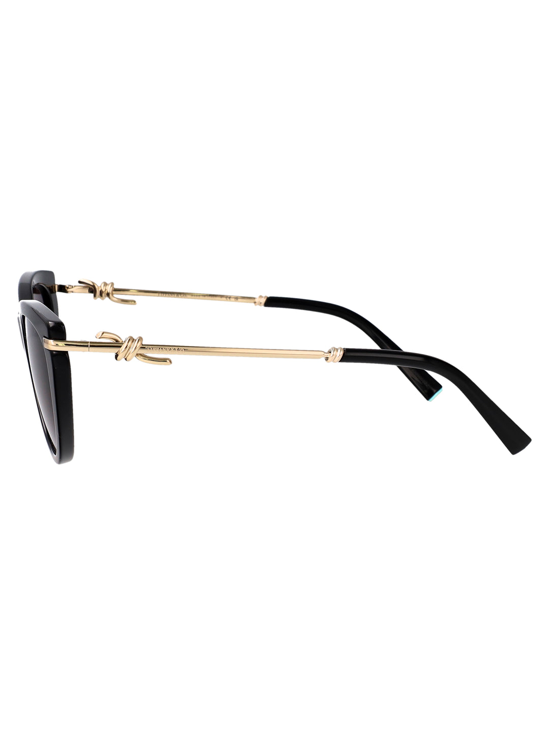Tiffany & Co SUNGLASSES - Nero | 1d071957bbbd1112e331b5626eebcb6e6601b829