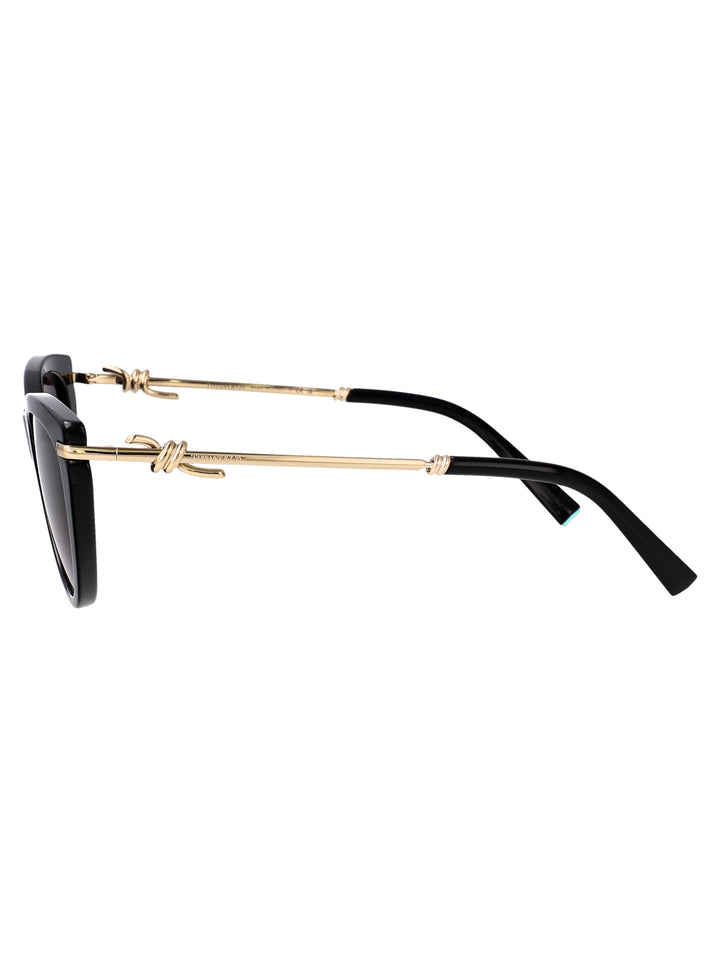 Tiffany & Co SUNGLASSES - Nero | 1d071957bbbd1112e331b5626eebcb6e6601b829