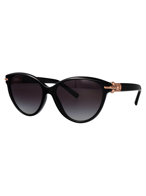 0TF4261 Cat-Eye Sunglasses