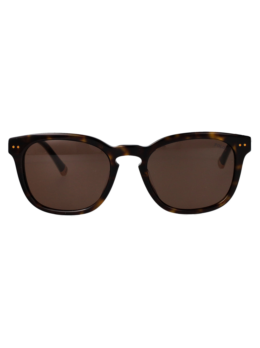 Polo Ralph Lauren SUNGLASSES - Havana | 5d6daa832c5d7086ba971bc05ea5a414bacec62f
