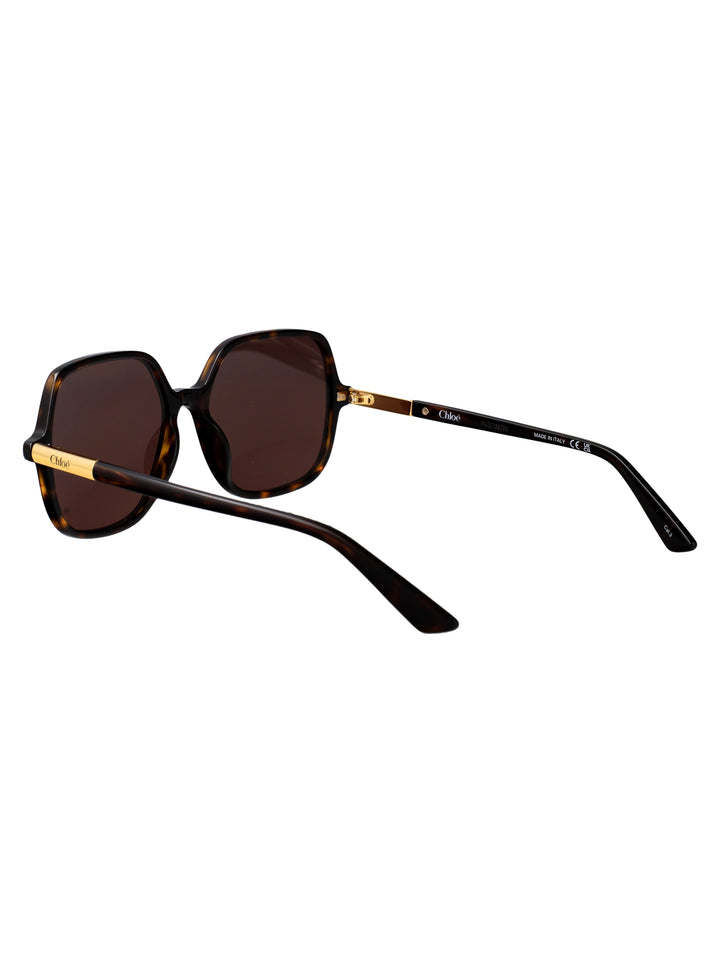 Chloe SUNGLASSES - Havana | 4509e59532f93024e398269d9fb9291081045f20