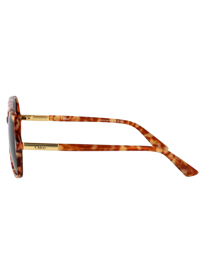 Chloe SUNGLASSES - Havana | bd5fa7eef4d8c2d3a9b46e0f7a1369a25aef8d90