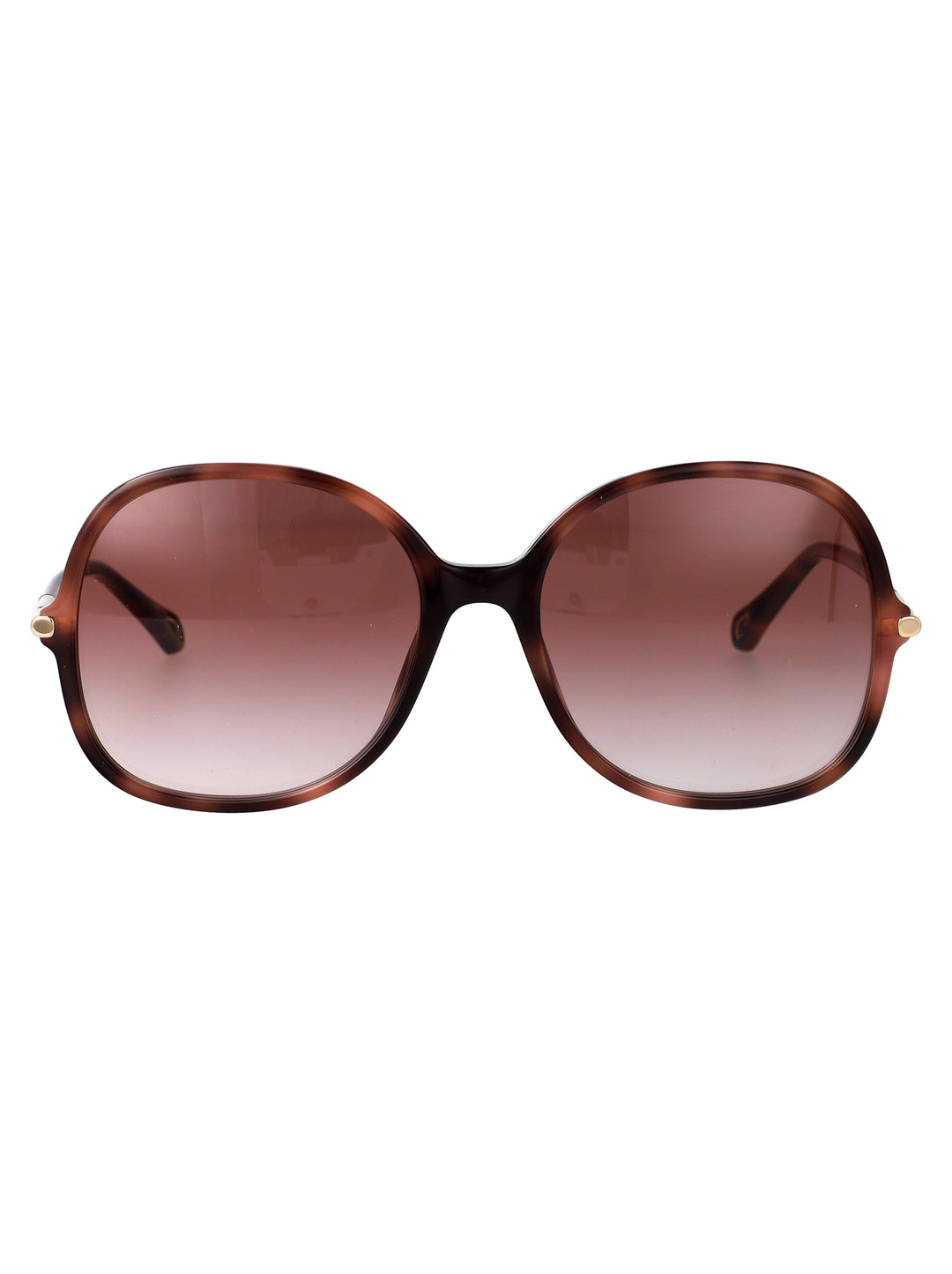 Chloe SUNGLASSES - Havana | e4531ee300b8add1111cf3fc71bdb405e864b09e
