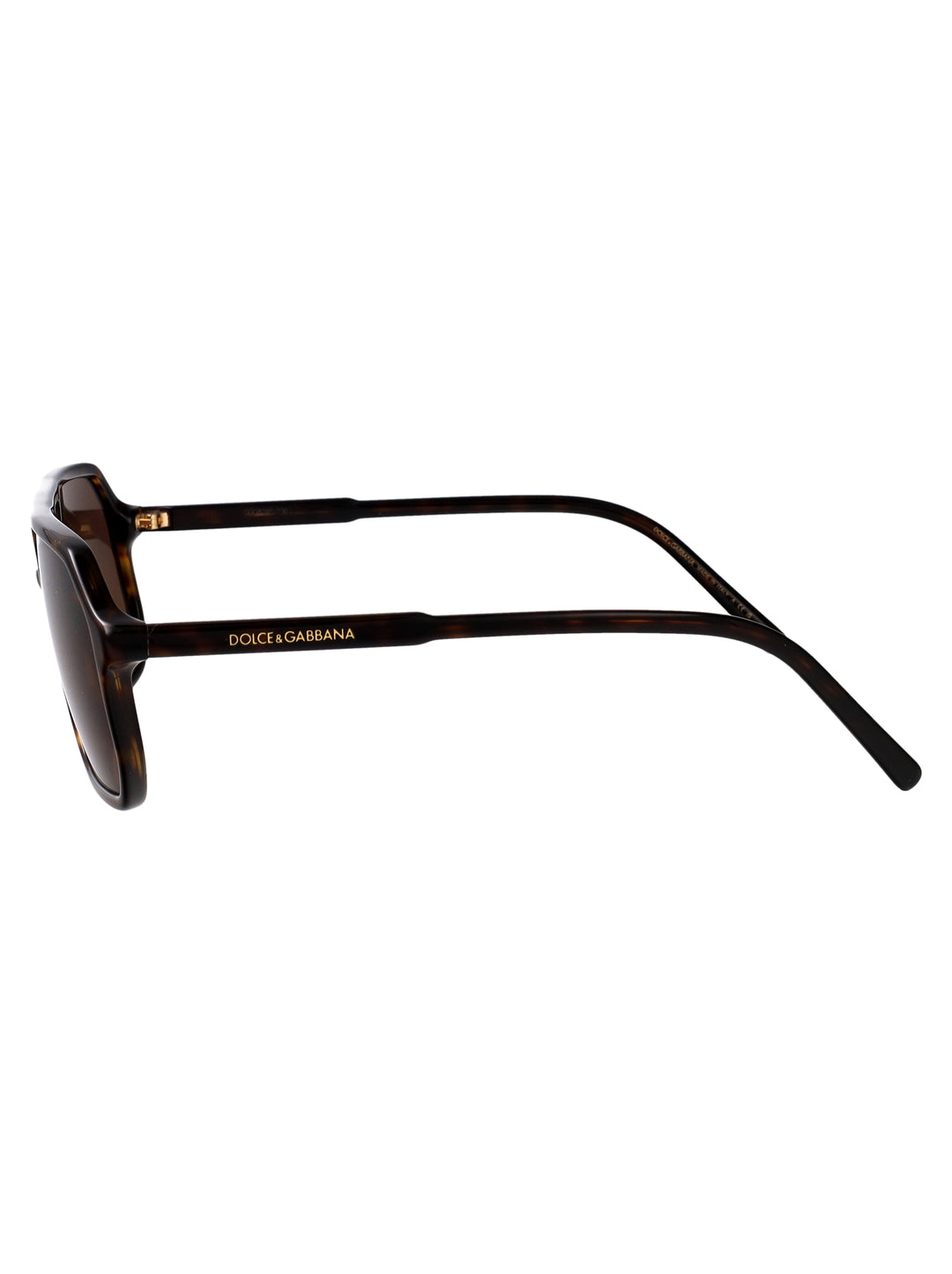 Dolce & Gabbana SUNGLASSES - Havana | ac663448922f37c11c8e74376092bce105119136
