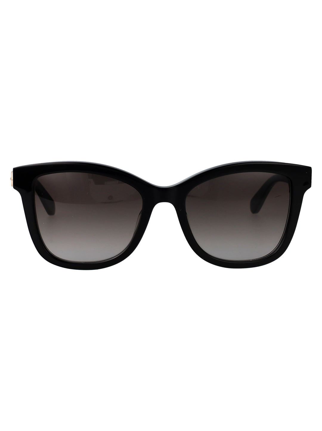 Salvatore Ferragamo SUNGLASSES - Nero | c1e9c551dbe64d7f732f5bba15df6a1852c67f55