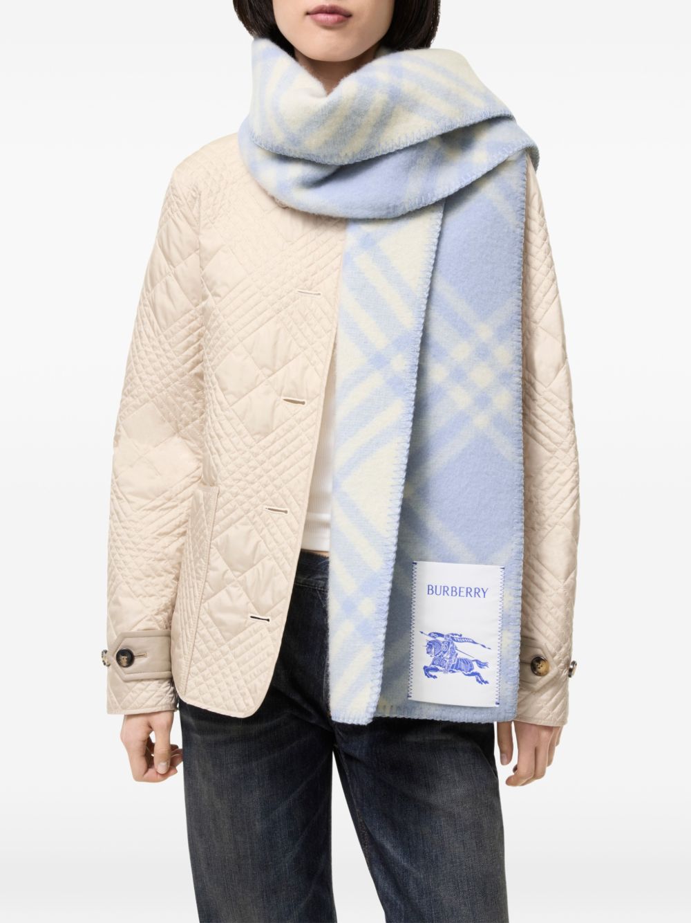 Burberry Scarfs - BLUE | 90caf937763c33562c494661efea7460a60c6edb