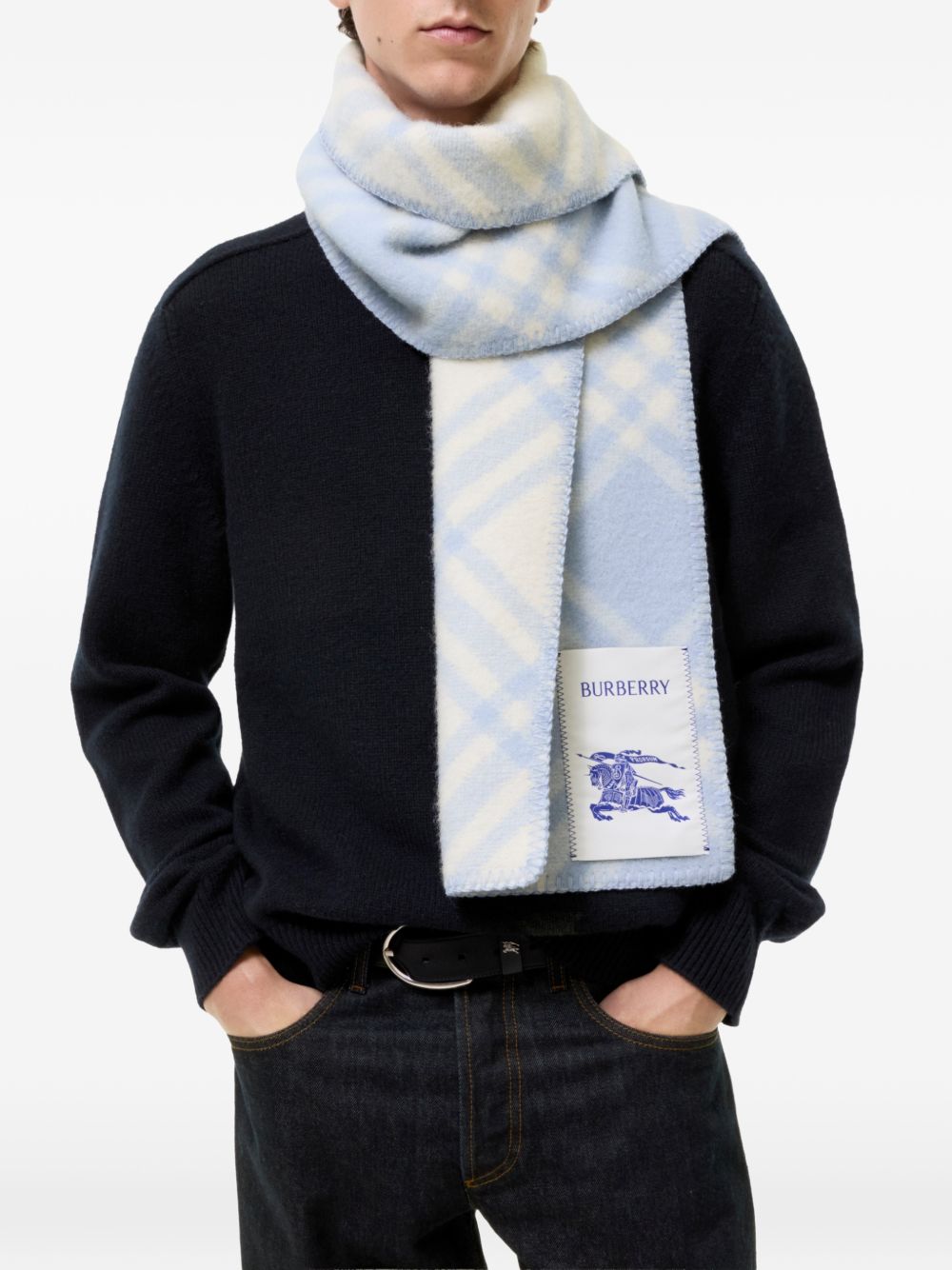 Burberry Scarfs - BLUE | 2010e0661144503f14d8d3c91c3fd6546b05f51b