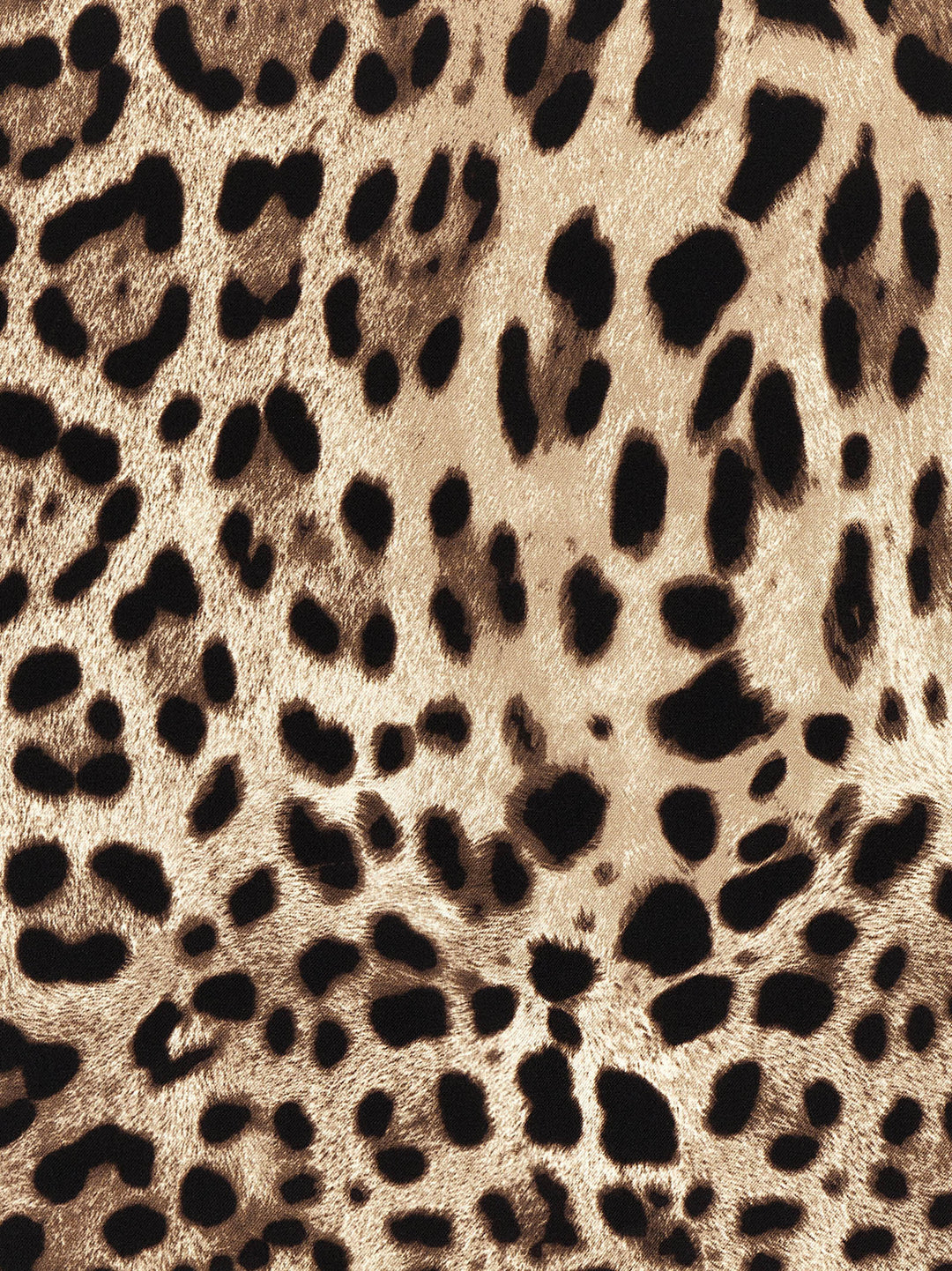 Dolce & Gabbana Leopardo Sciarpe - Multicolor | b513b2754a50c955a7d27b103f7c6a61a7af5303