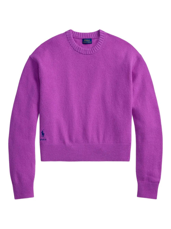 Polo Ralph Lauren Pullover - Pink & Purple | d6097fc876d1e4cb8d6a7a17294d80c9279b2833