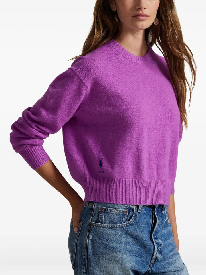 Polo Ralph Lauren Pullover - Pink & Purple | c091b1a7bb5f342a280315ac59c1f2d11152fa62