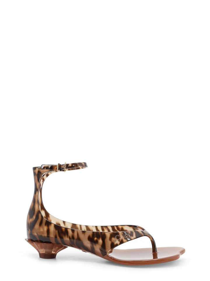 Chloè Sandals - Blackbrown | 60ae805d2050da416980bec585dbf6efc562971c