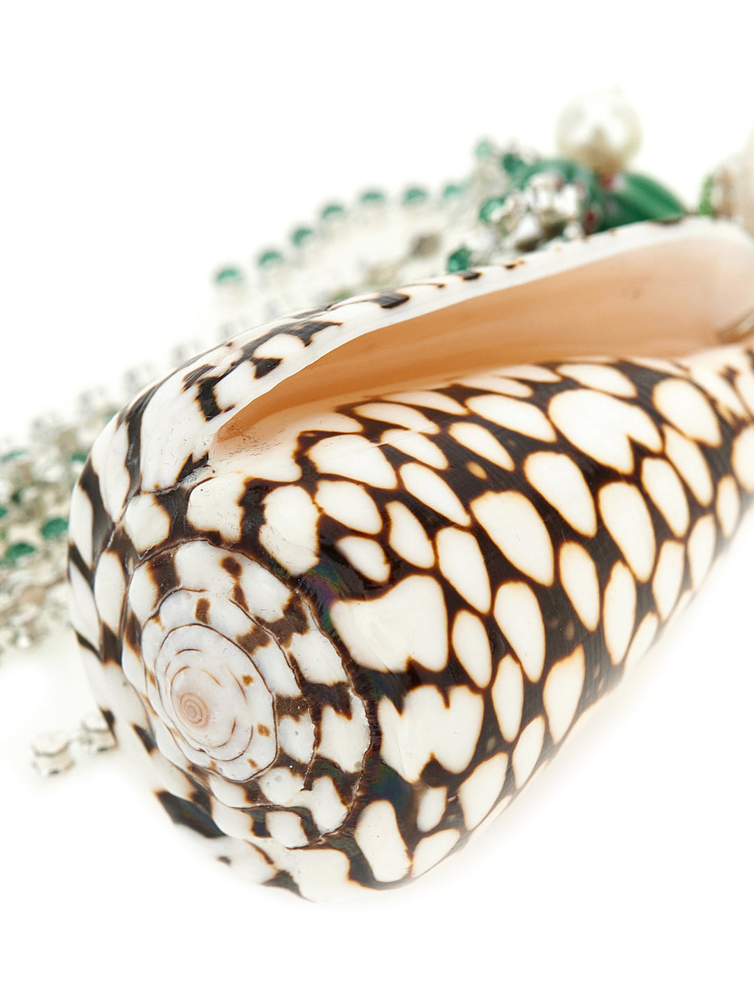 Dries Van Noten  Shell Necklace Gioielli - Verde | fb4ee323dd7f60a7ed12861f0a3fa91d9a9747f5
