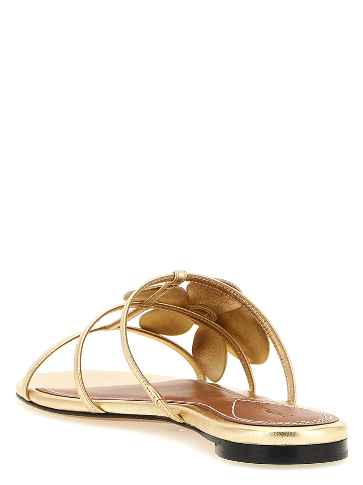 Zimmermann Orchid Sandali - Oro | 063dfceb9b8d05b4d03217657027fee6cb7ef525