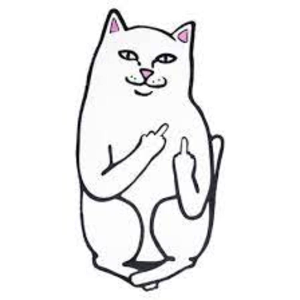 Ripndip General Accessories - Bianco | f3418bedd8d62e5b28b0dad61fe4742698dfcd51