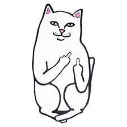 General Accessories Bianco