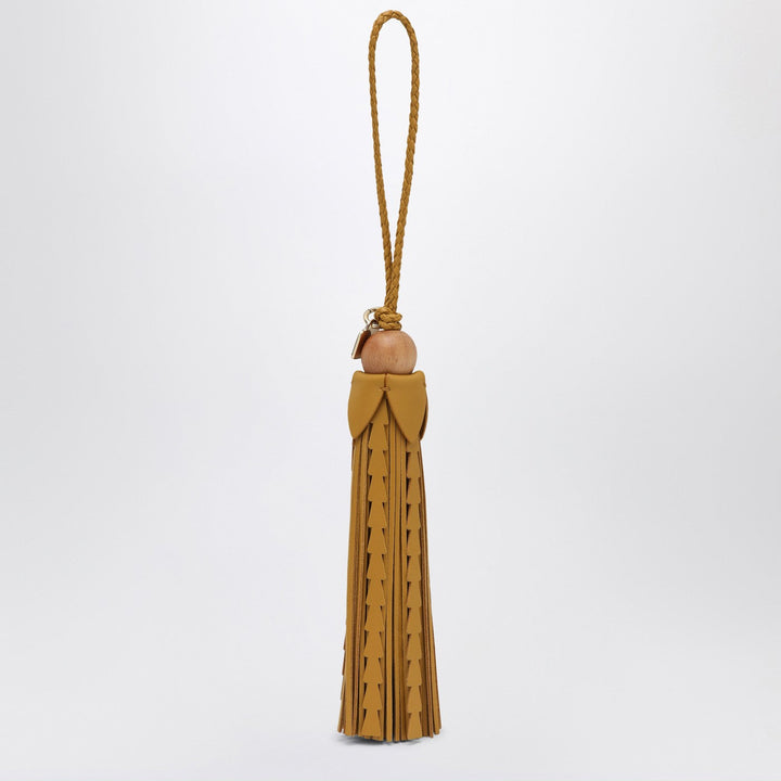 Miu Miu Apparel & Accessories - Marrone | 4ae4f655f24499010fd44ae89eeb4890658ee5c0