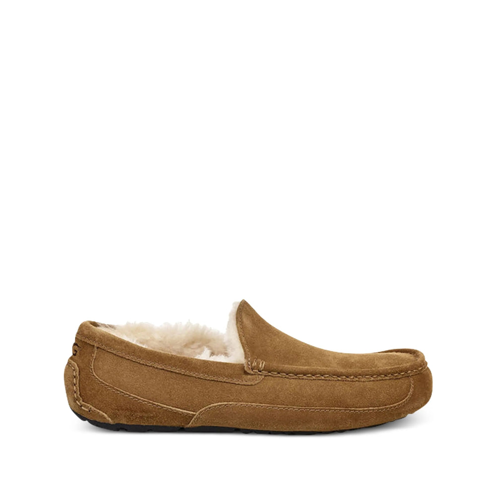 Ugg Scarpe - Marrone | 3f85563cb923672eba903a8fcd57731365fd9357