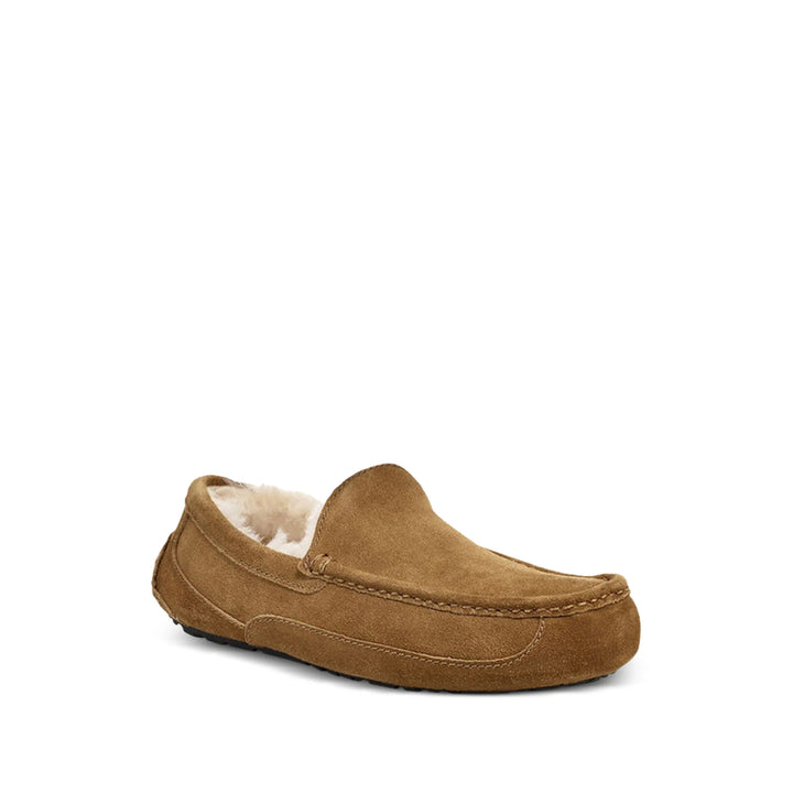 Ugg Scarpe - Marrone | 0187b9f139c539cbf09e4cc8384e2db4770c13d0