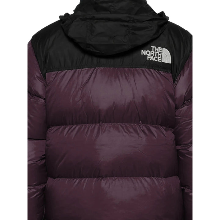 The North Face Outerwears - Viola | 39dd6cf3a3f772c57e9dc4ce7d7dbf6794b439c0