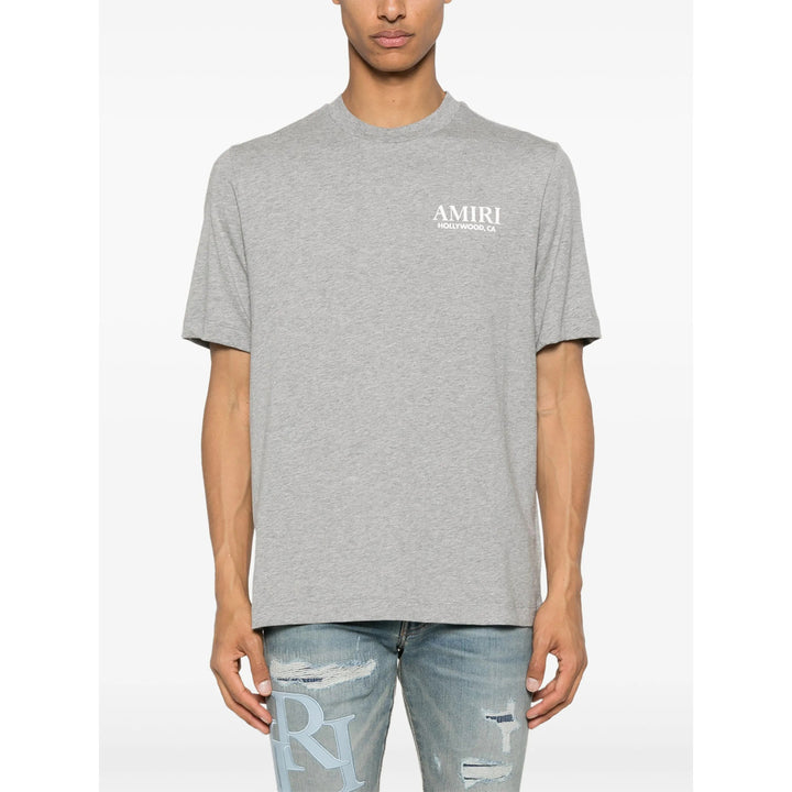 Amiri T Shirt - Grigio | 94d9c9ce30a0eaa818aaa2b199d48d516c022112