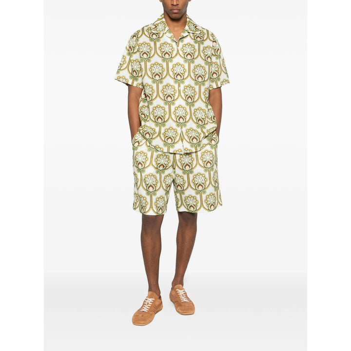DrôLe De Monsieur Camicie - Verde, Marrone | 6a0695df9edb46f3dc3c65428c84bc5d579da109