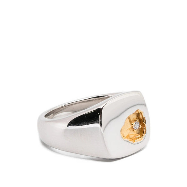 Jewellery Silver/Yellow