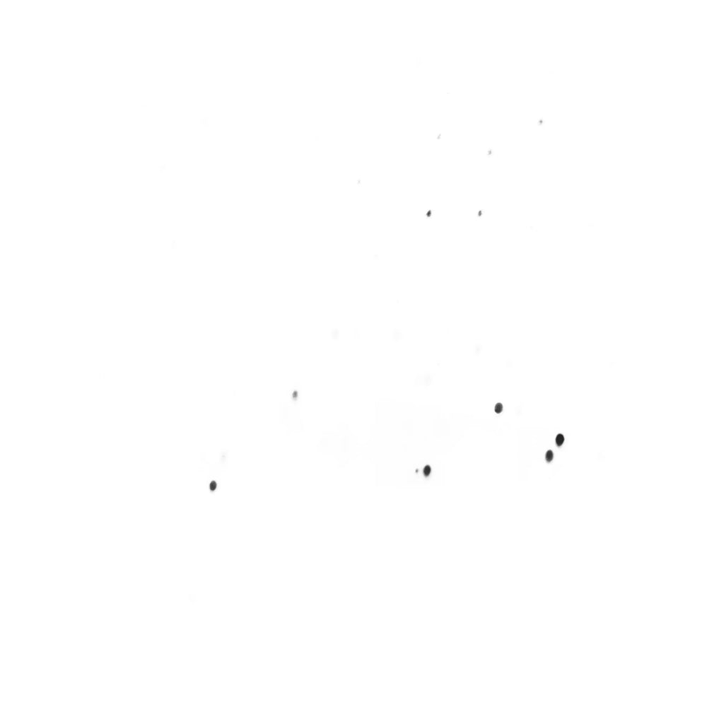 Wooyoungmi Caps - Nero | 9c20c10fbdace5b2c3b67aec5e3fca57ca4cccc0