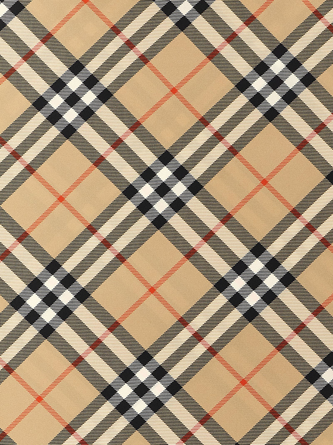 Burberry Check Scarf Sciarpe - Multicolor | 3e0536da86268f7b99993d71d702c3ffe71a99b3