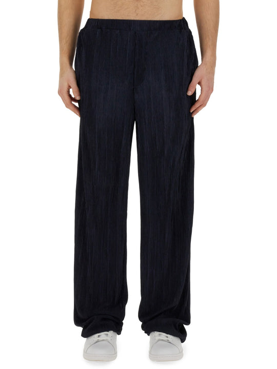 Pleated Pants