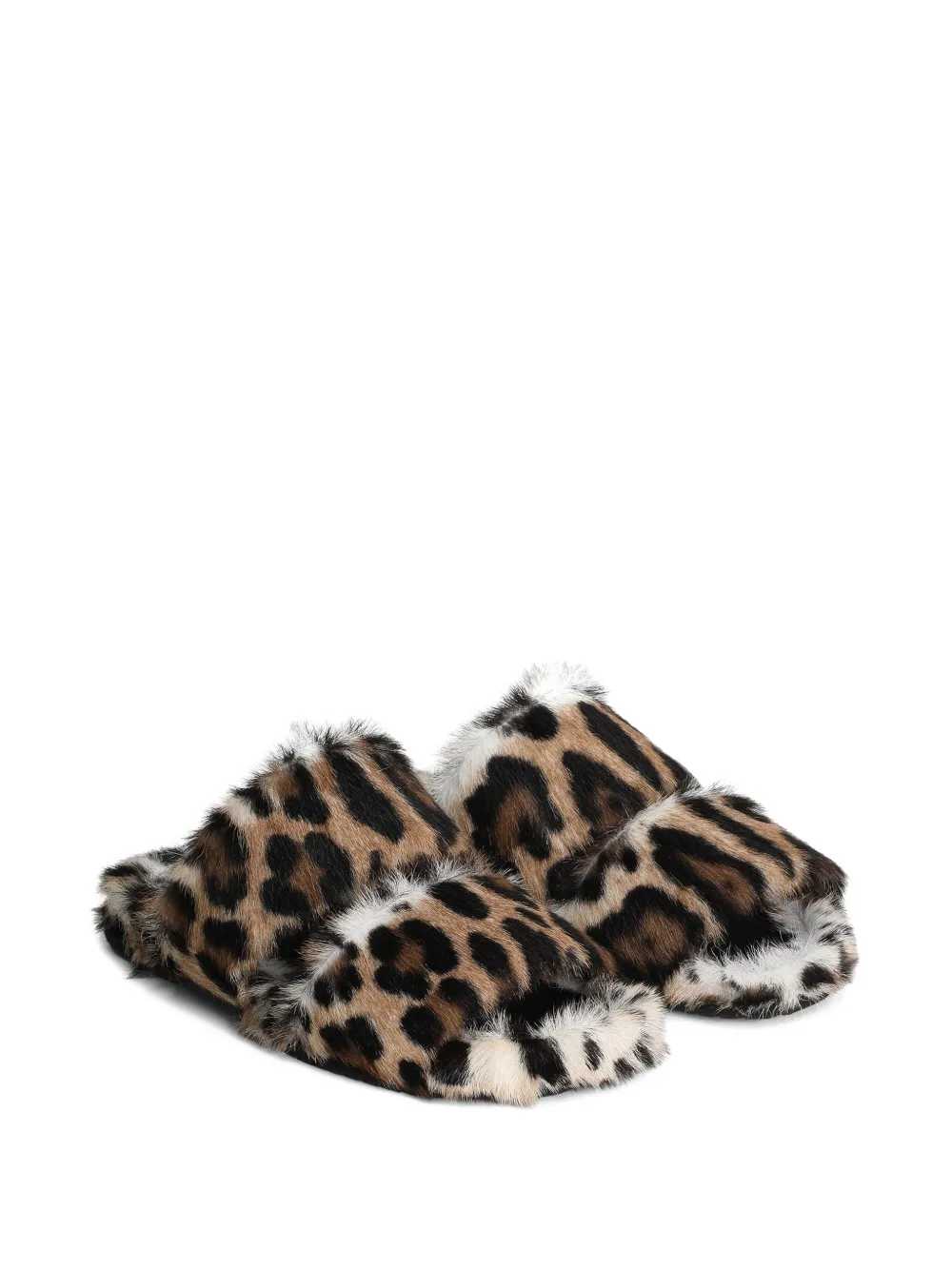 Dolce & Gabbana SHOES - Multicolour | b7faac29438b7b890f5c81cd80caf002306851c8