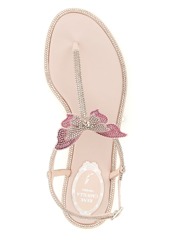 René Caovilla Fairy Sandali - Rosa | 67397841bfba13f1caec95c853bf344a7c1bcd58