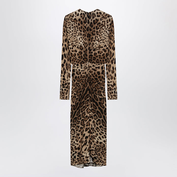 Dolce&Gabbana Apparel & Accessories - Marrone | 8746ab4734b3b61df14fe450619f5501b313f7fc