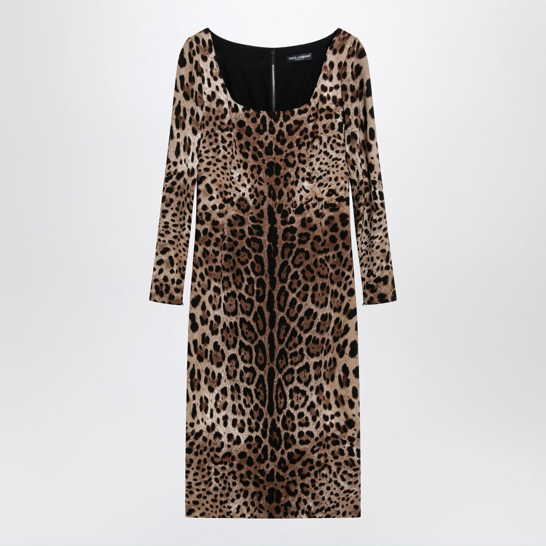 Dolce&Gabbana Apparel & Accessories - Marrone | f403429bb55789ff3056b6a175c61b224e2d10e9