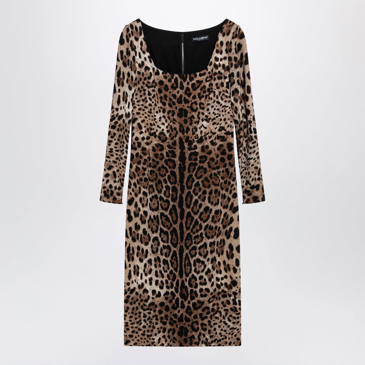 Dolce&Gabbana Apparel & Accessories - Marrone | f403429bb55789ff3056b6a175c61b224e2d10e9