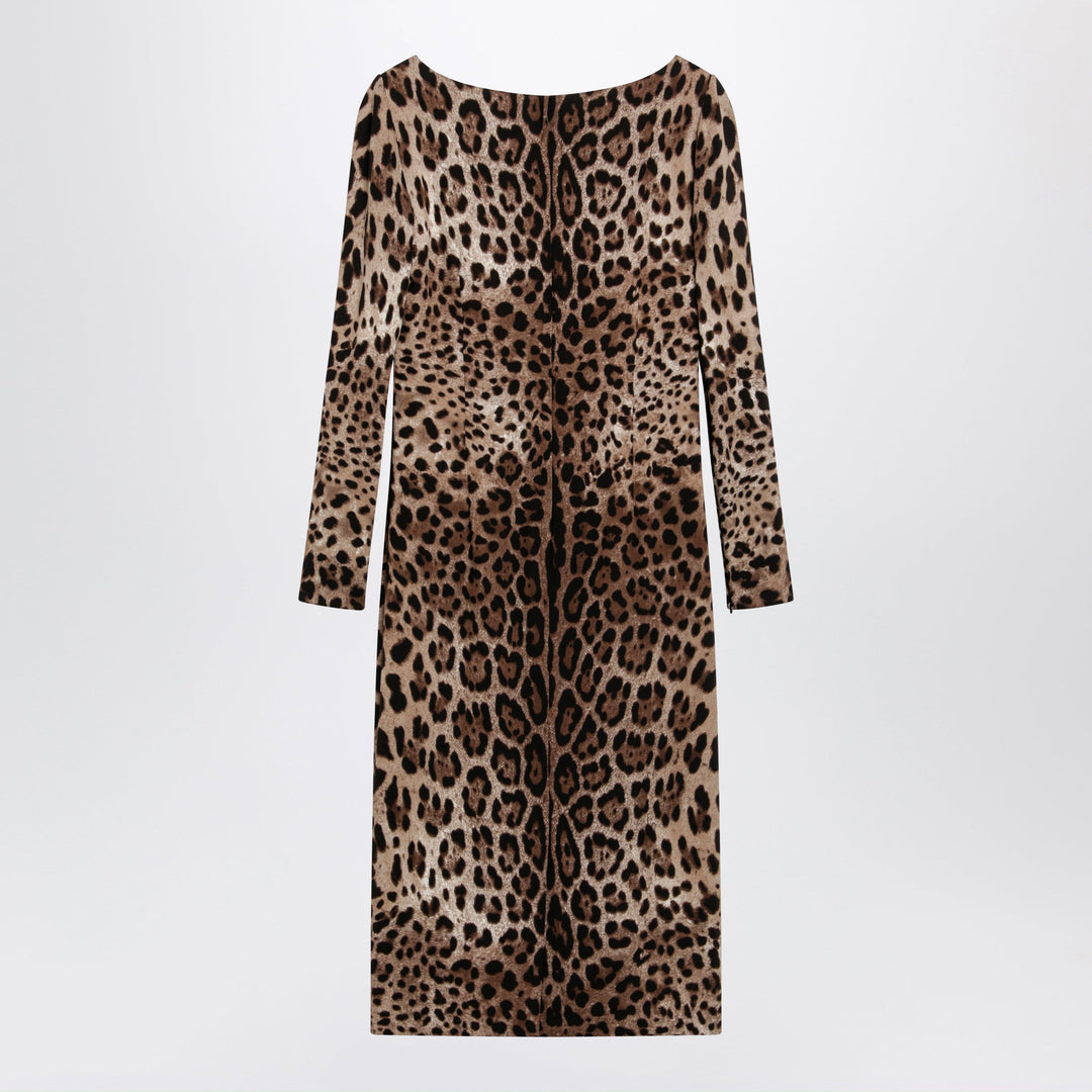 Dolce&Gabbana Apparel & Accessories - Marrone | 3b505921e8b7c9cc5cacdaa6b2c1a00974d184a3