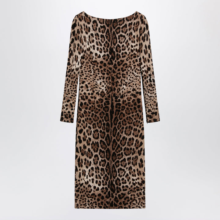 Dolce&Gabbana Apparel & Accessories - Marrone | 3b505921e8b7c9cc5cacdaa6b2c1a00974d184a3