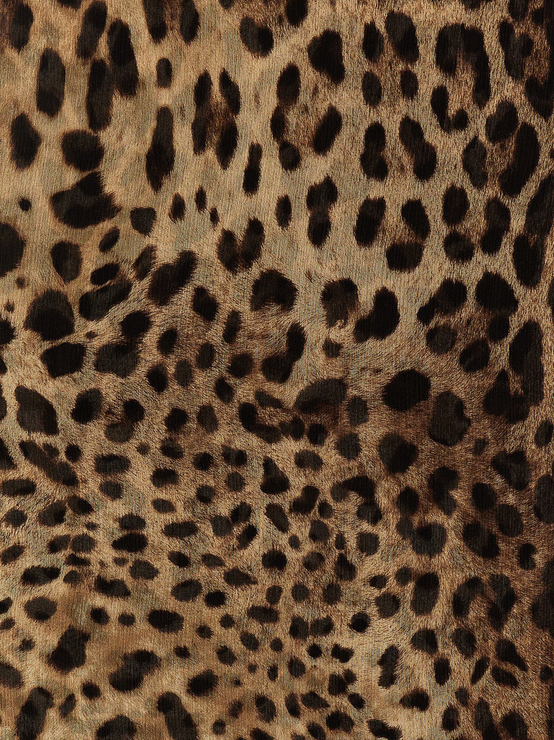 Leopard Sciarpe Multicolor