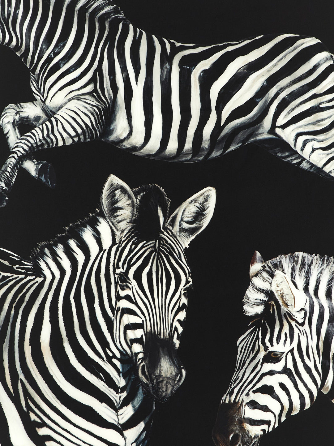 Dolce & Gabbana Zebra Print Scarf Sciarpe - Bianco/Nero | 2706c8aa5b70465e8744f13b003eb01581b66a50