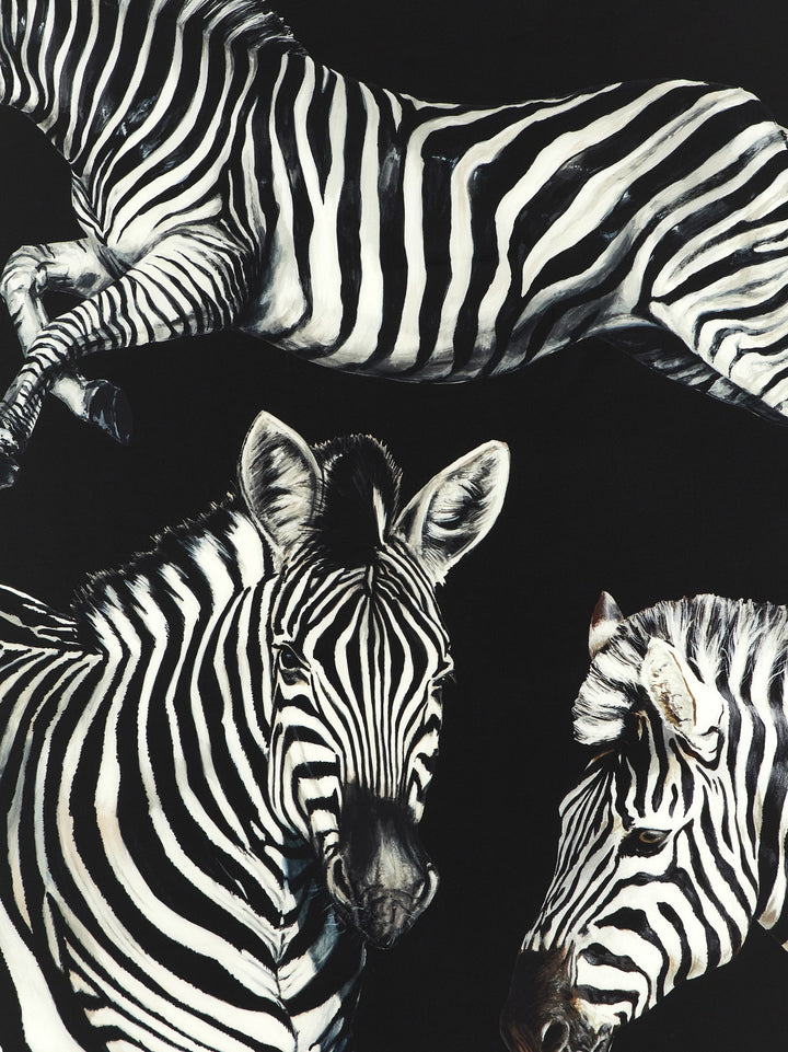 Dolce & Gabbana Zebra Print Scarf Sciarpe - Bianco/Nero | 2706c8aa5b70465e8744f13b003eb01581b66a50