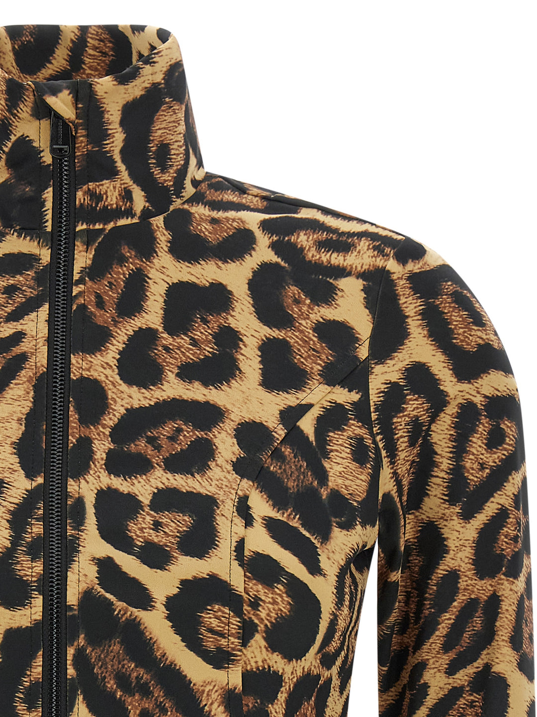 Goldbergh Leona Maglioni - Marrone | 298a31ab8379c304fe9cf2cfbce4b90046b95459