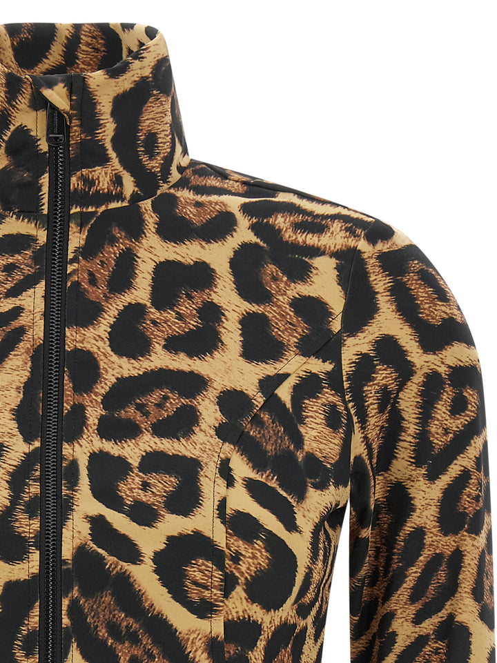 Goldbergh Leona Maglioni - Marrone | 298a31ab8379c304fe9cf2cfbce4b90046b95459