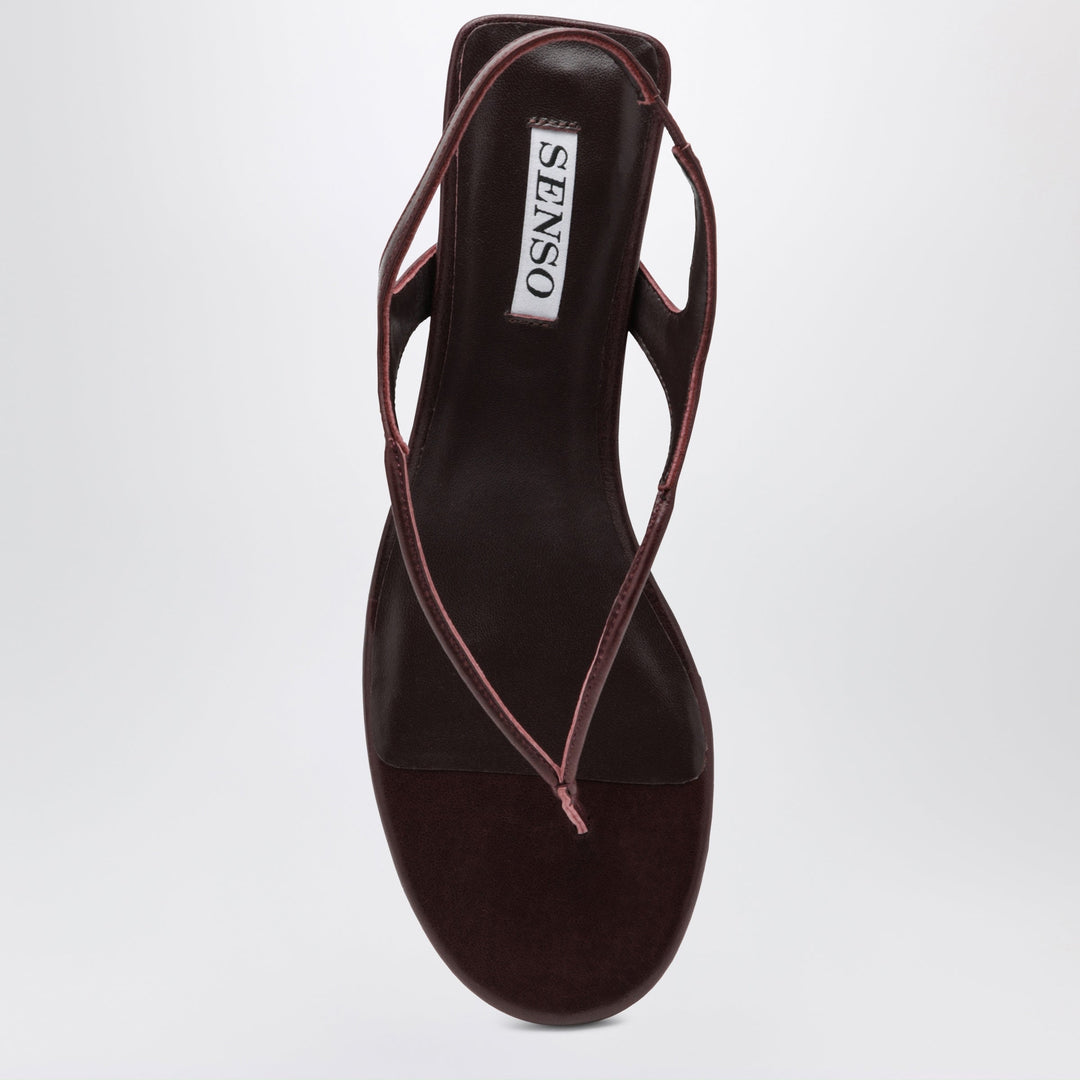 Senso Scarpe - Marrone | aa2304e78878ec5e0b51f827cf8afc98d3925c06