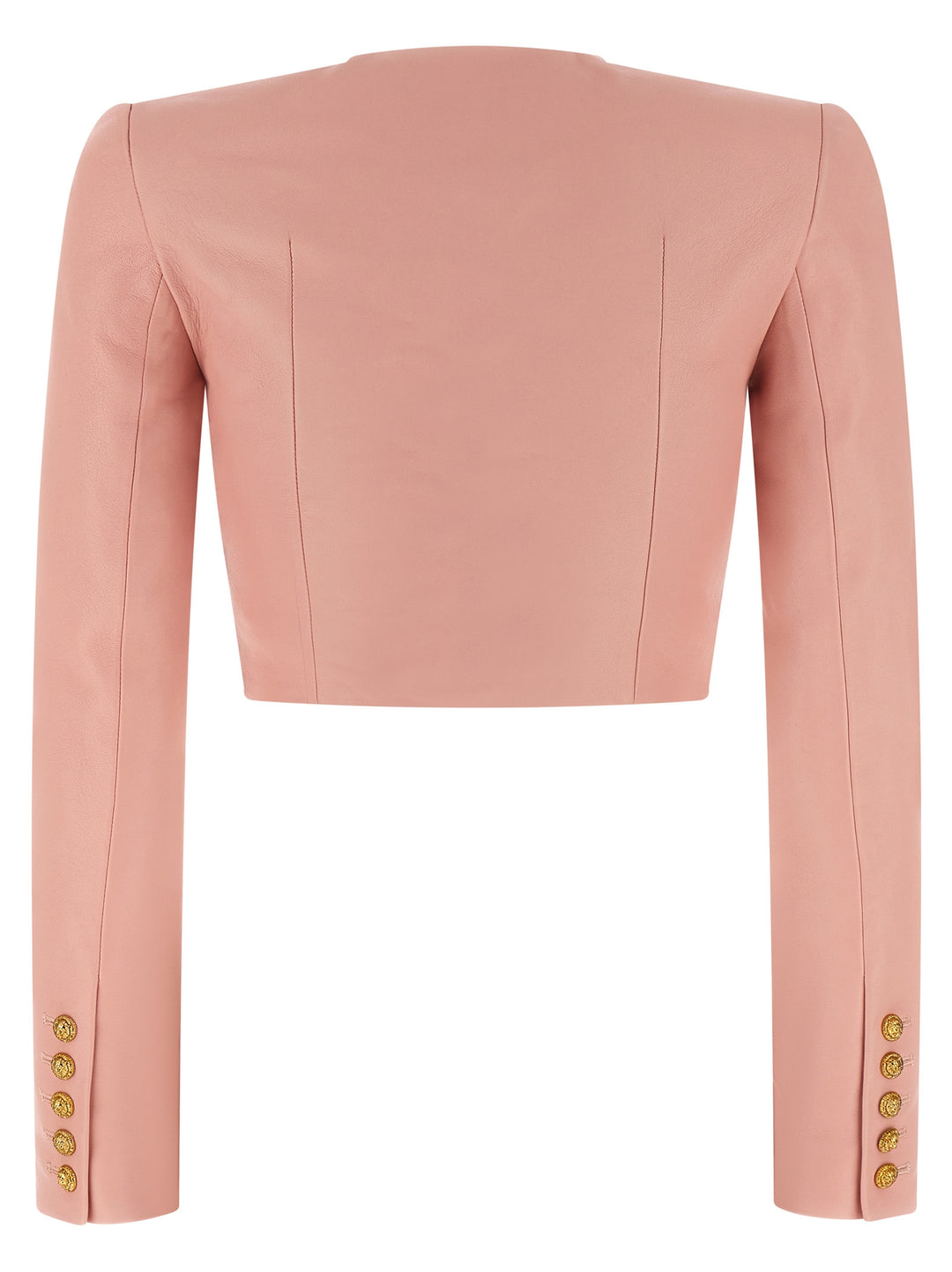 Balmain Testa Di Leone BlazerS - Rosa | 54c454d3ead8d2abafc82d5363367111412a4840