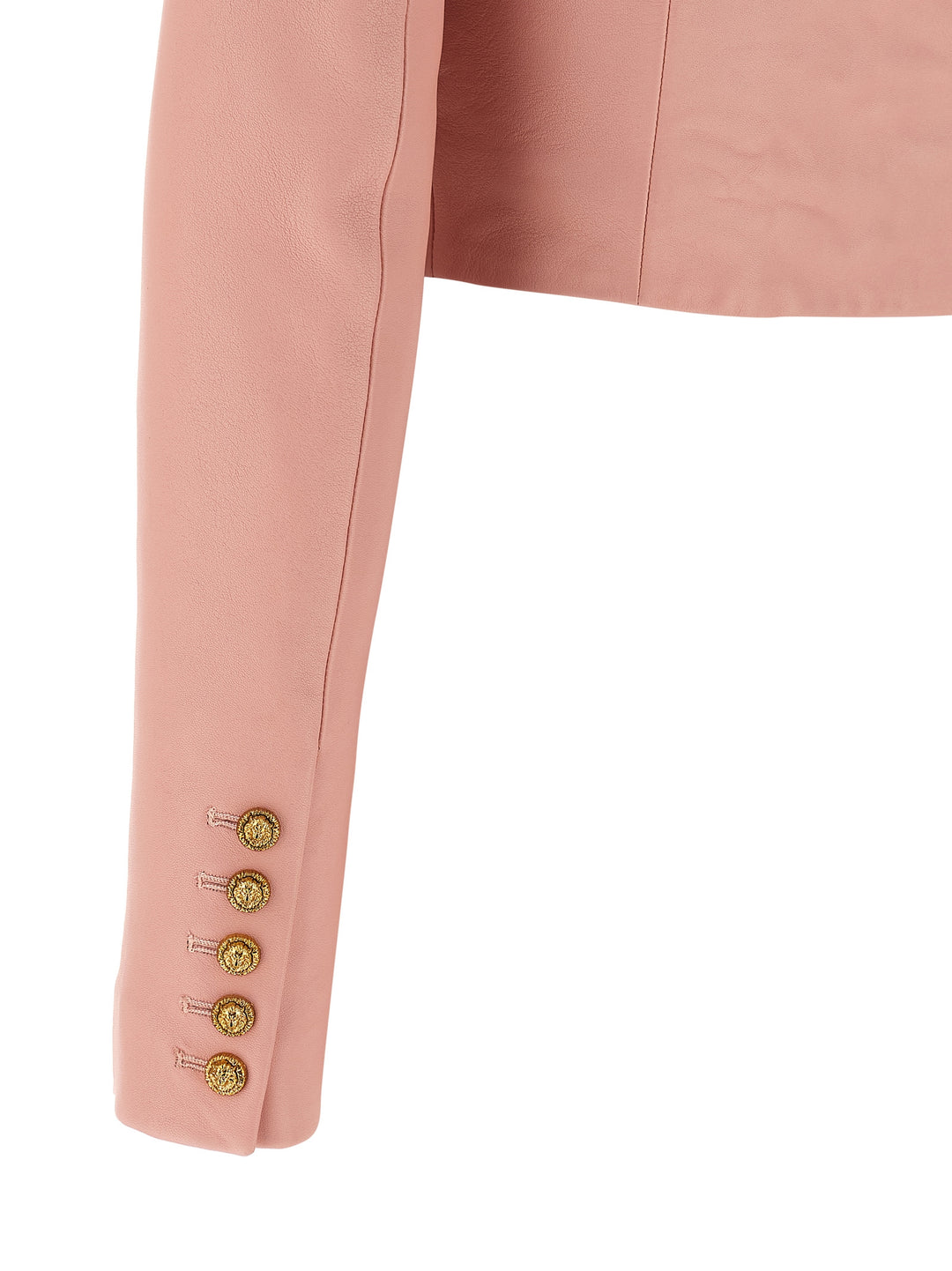 Balmain Testa Di Leone BlazerS - Rosa | 66dec545460300ad878b78ecd92db17c091e29dc