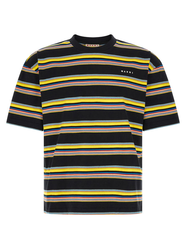 Striped T Shirt Multicolor
