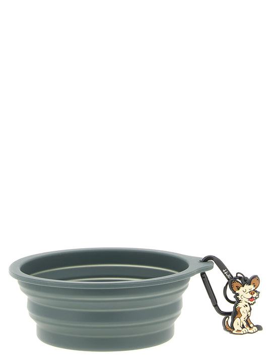 Wild Dog Pets Accesories Verde