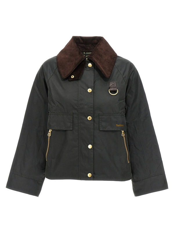 Catton Piumini, Parka, Giacche Casual Verde