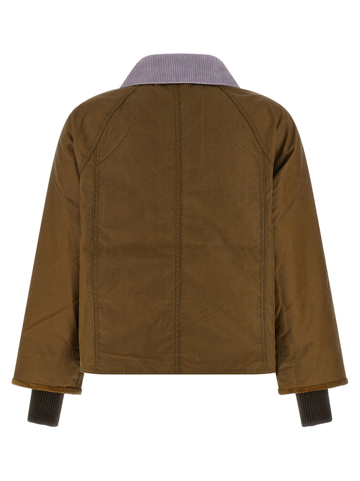 Barbour Beadnell Puffer Jackets - Marrone | 60c7af5a4eeb5857763b5d9d1f3dffa02e181603