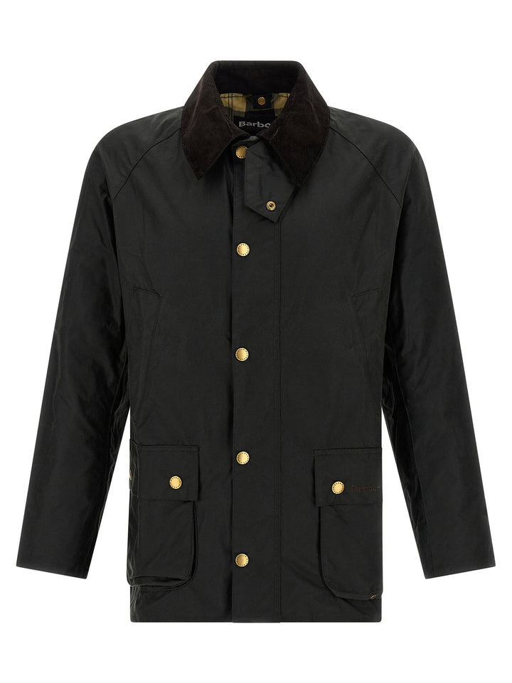 Barbour Ashby Puffer Jackets - Verde | 3b5ed066c3e1f8c251128f69332458e8e514b0c9